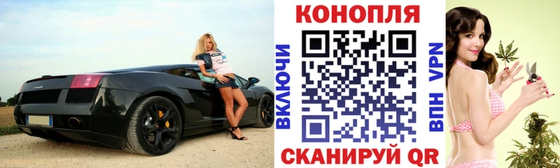 где найти   Кувандык  Марихуана индика 